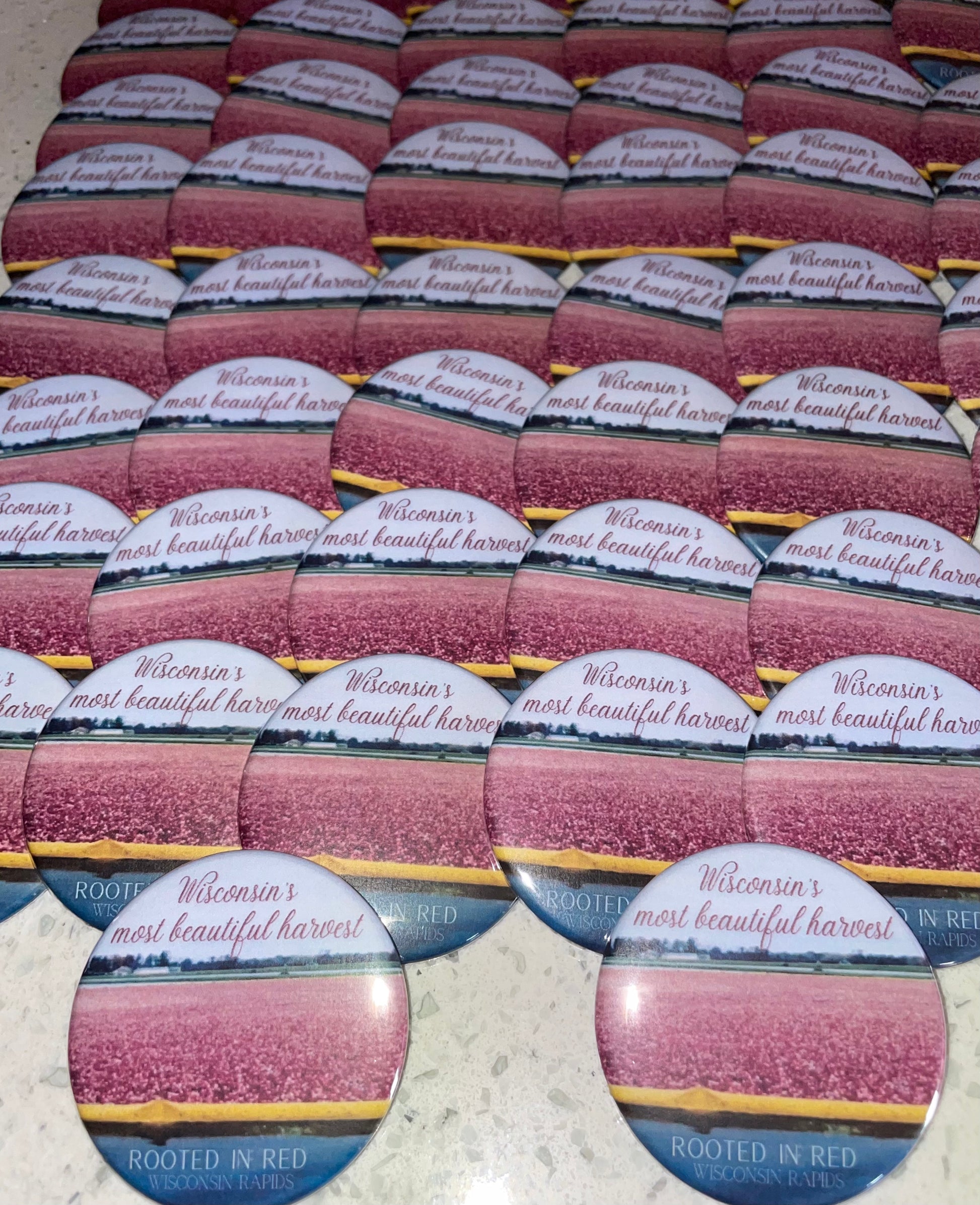 2.25inch Round Magnets - Cat's Kollection